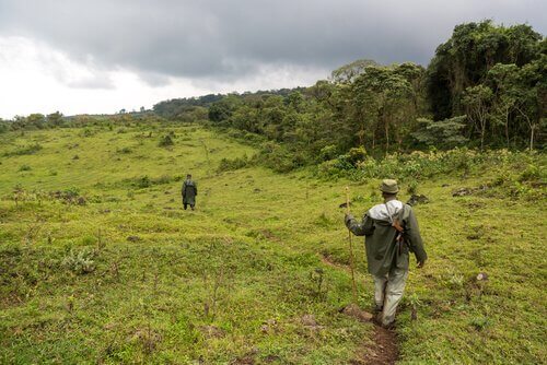 Guardas no parque nacional de virunga