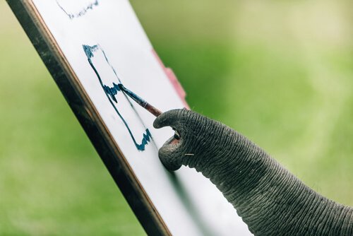 elefante que pinta