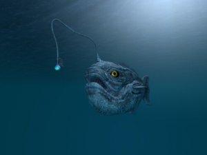 Animais que vivem no fundo do mar