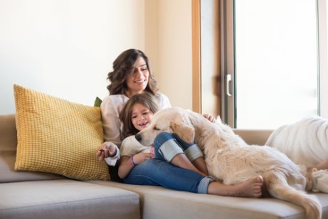 Crianças e animais de estimação