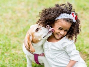 Como a interação das crianças com os cães deve ser