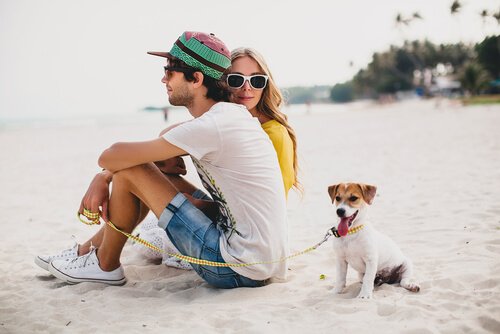 Casal passeando com o cachorro na praia