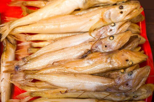 animais originários da Rússia