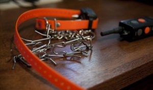 Problemas dos colares enforcadores: a saúde do seu cão está em jogo