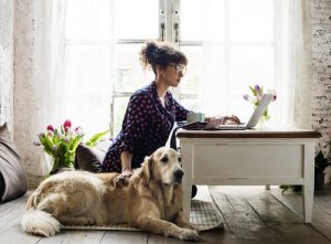 Estou pronto para ter um animal de estimação?