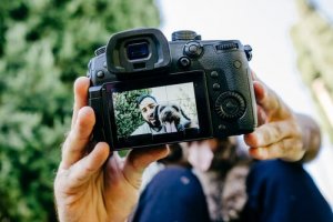 4 dicas para tirar boas fotos de nossos animais de estimação