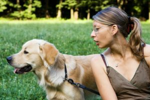 Seu cão não presta atenção em você? Veja estas dicas!