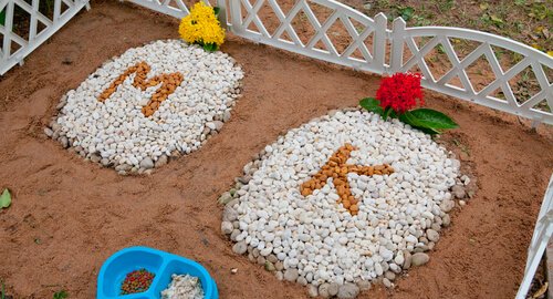 cemitério para cães