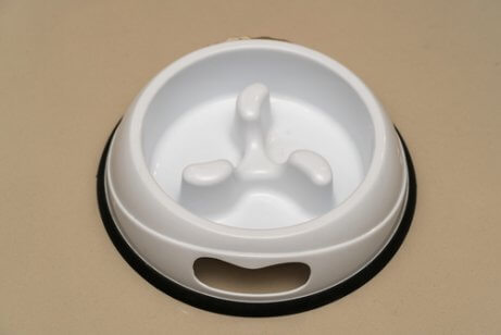 Comedouro com obstáculos