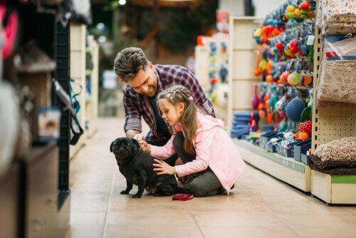 ir às compras com seu animal de estimação