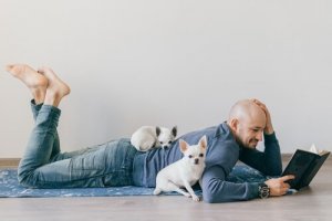 A moda de animais de estimação em miniatura