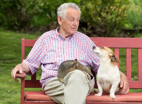 Animais de estimação nos ajudam a viver mais