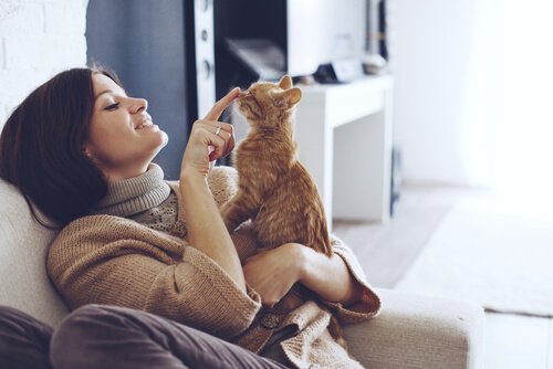 Dona brincando com seu gato