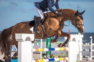 10 esportes equestres
