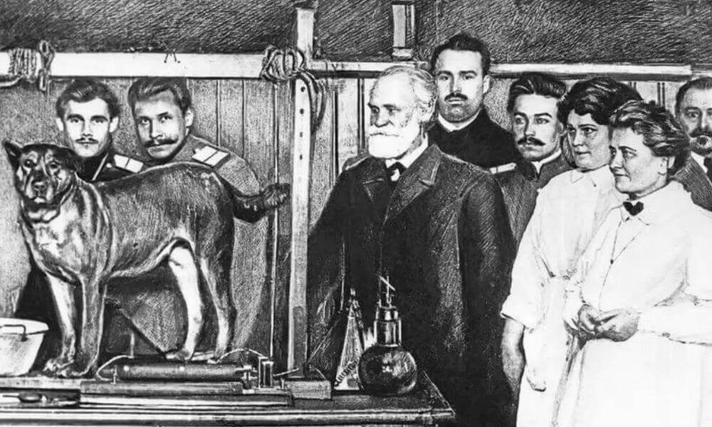 Ivan Pavlov e o reforço positivo para cães