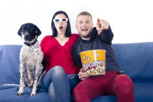 Filmes para assistir com seu cachorro