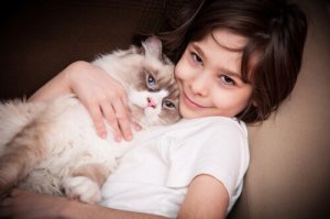 Gatos como terapia para o autismo