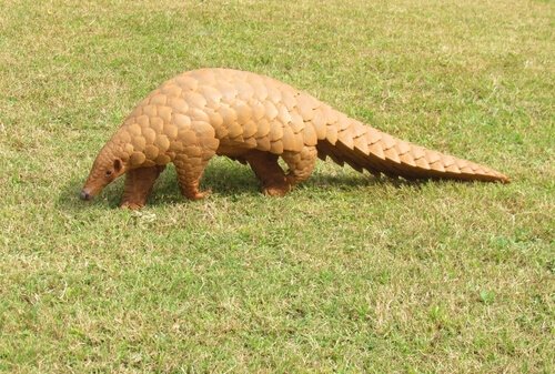 Quais são os animais mirmecófagos