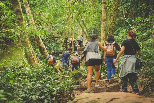 ecoturismo: turistas visitam um parque nacional