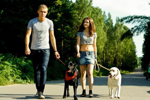 Dicas para passear com um cão