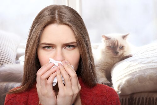 alergia a pelos de animais