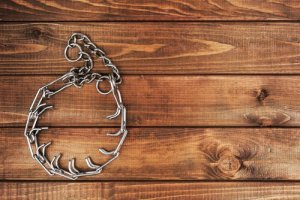 Coleiras para cães proibidas por lei