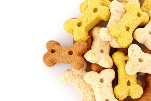 Petiscos prejudiciais para cães