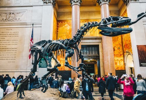 Museu Americano de História Natural, em Nova York