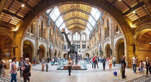 5 melhores museus de história natural