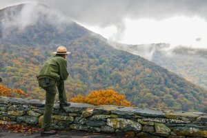 Como se tornar um guarda florestal