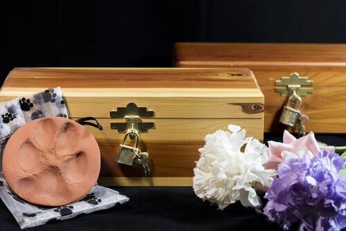 Quais opções de funeral existem para animais que morreram?