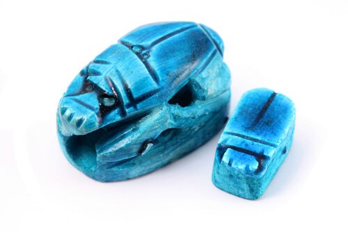 animais considerados de boa sorte: besouro