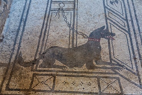 animais na Roma Antiga: mosaico mostrando um cão de guarda