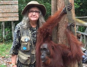 Quem é Biruté Galdikas? Descubra aqui!