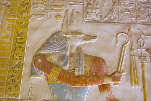 Chacal: animal sagrado no antigo Egito