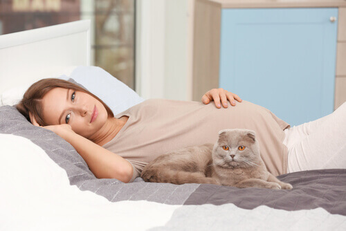 Mulher grávida com gatinho na cama