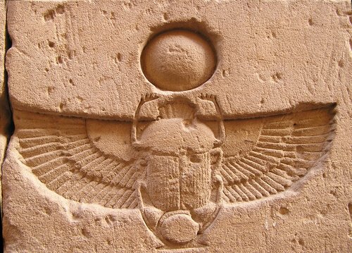 O escaravelho era um animal sagrado para os egípcios 