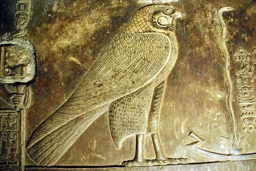 falcão sagrado do antigo Egito