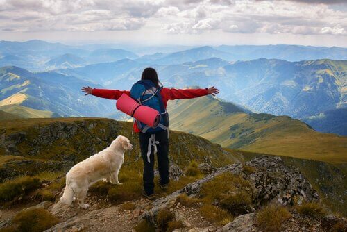 Subir a montanha com cães