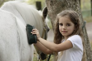 Cuidados com a pelagem do seu cavalo