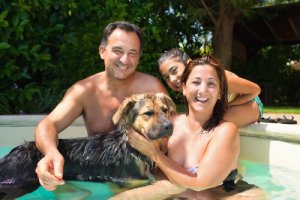 Algumas dicas para comprar uma piscina para cachorro