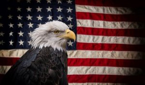 5 aves nacionais dos Estados Unidos