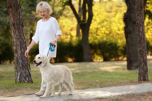 Idosa passeando com cachorro: ter um pet diminui a solidão