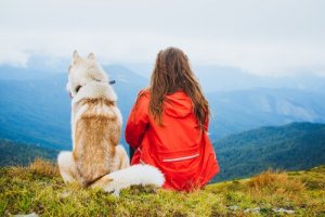 Ter um animal de estimação te fará uma pessoa mais feliz