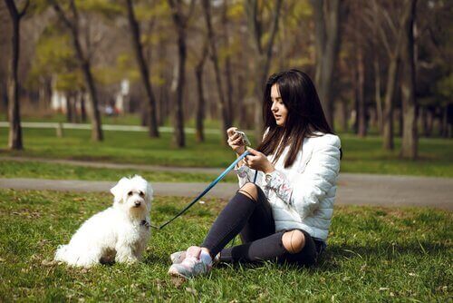 Mulher no parque com cachorro