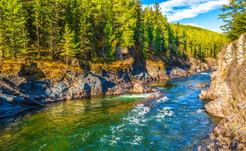 rio em floresta temperada