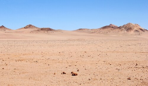 ecossistemas do mundo: deserto