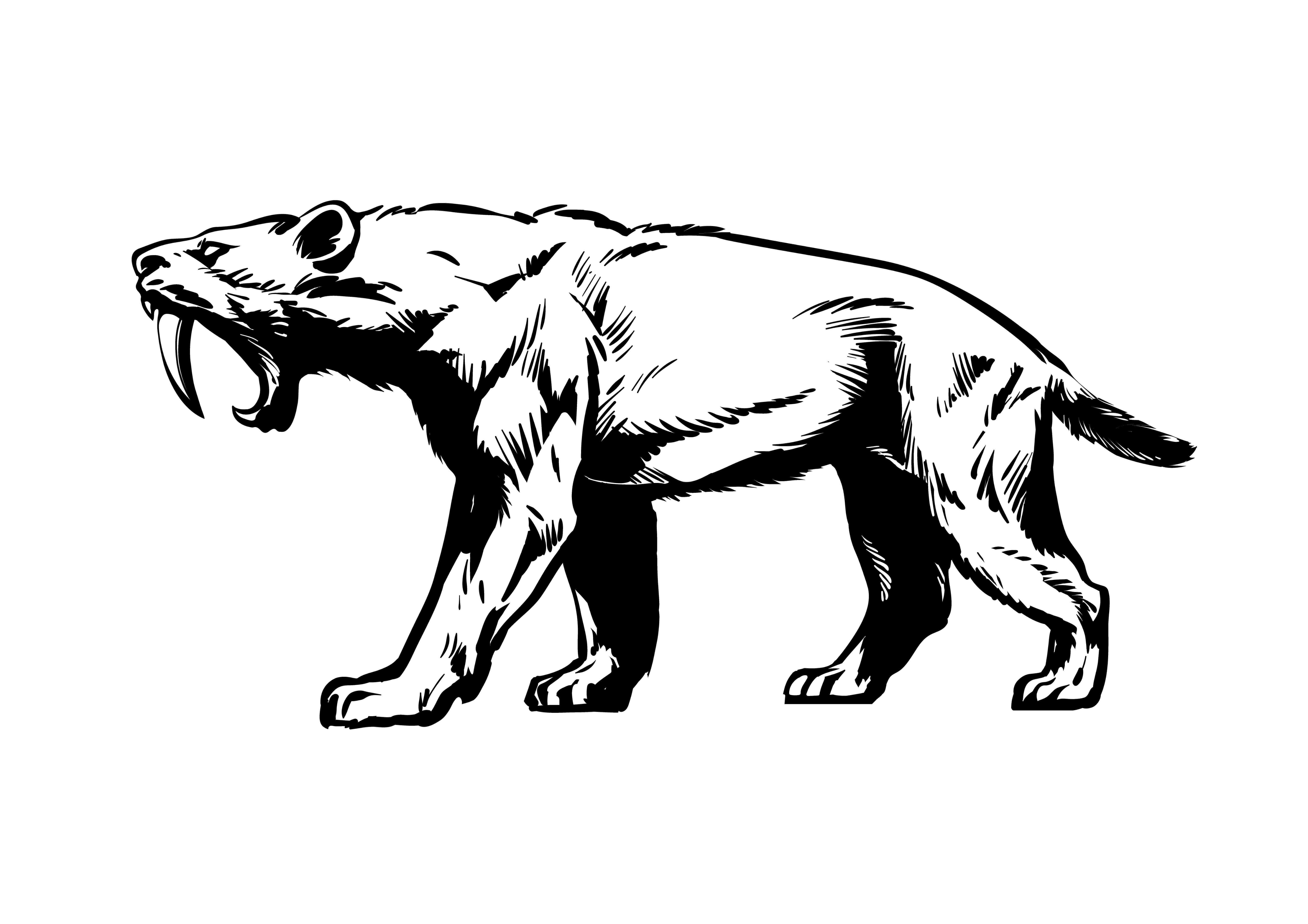 Smilodon: tigre-dente-de-sabre