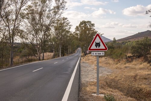 Placa na estrada indicando a presença do lince ibérico
