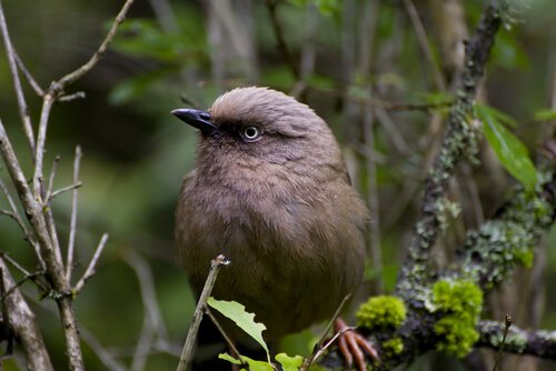Parque Nacional de Jiuzhaigou
